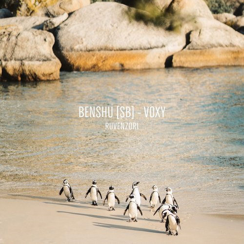 BENSHU[SB] - Voxy [RVNZ18]